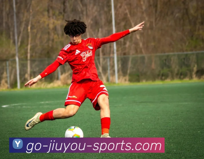 九游娱乐平台生态图